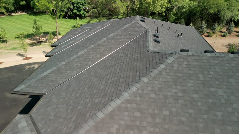 Best Roof Ventilation Installation  in Virginia, MN