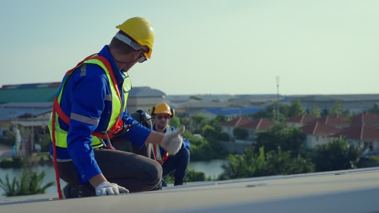 Best Asphalt Shingles Roofing  in Virginia, MN