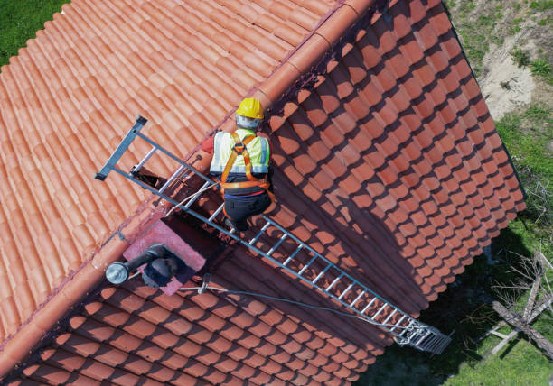 Best Gutter Installation and Repair  in Virginia, MN