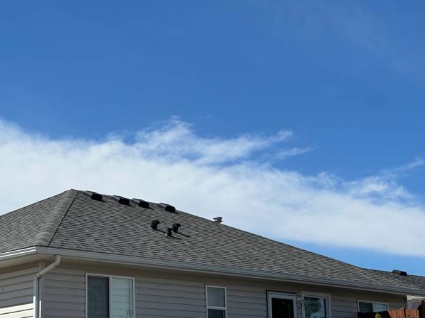 Roof Coating Services in Virginia, MN